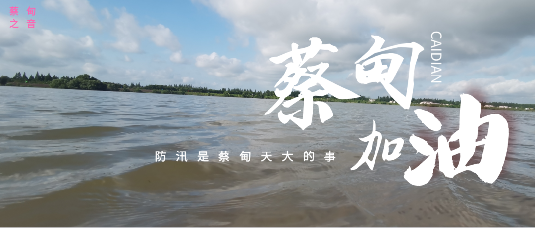 蔡甸區(qū)啟動(dòng)防汛ⅰ級(jí)應(yīng)急響應(yīng)，做好鋪土釘防汛木樁工作