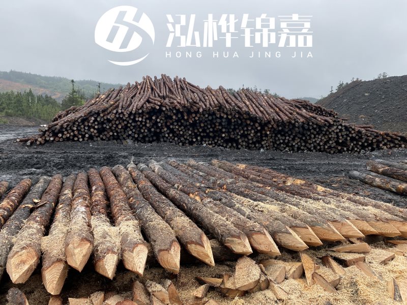 6米長松木樁有哪些作用，多少錢一根？