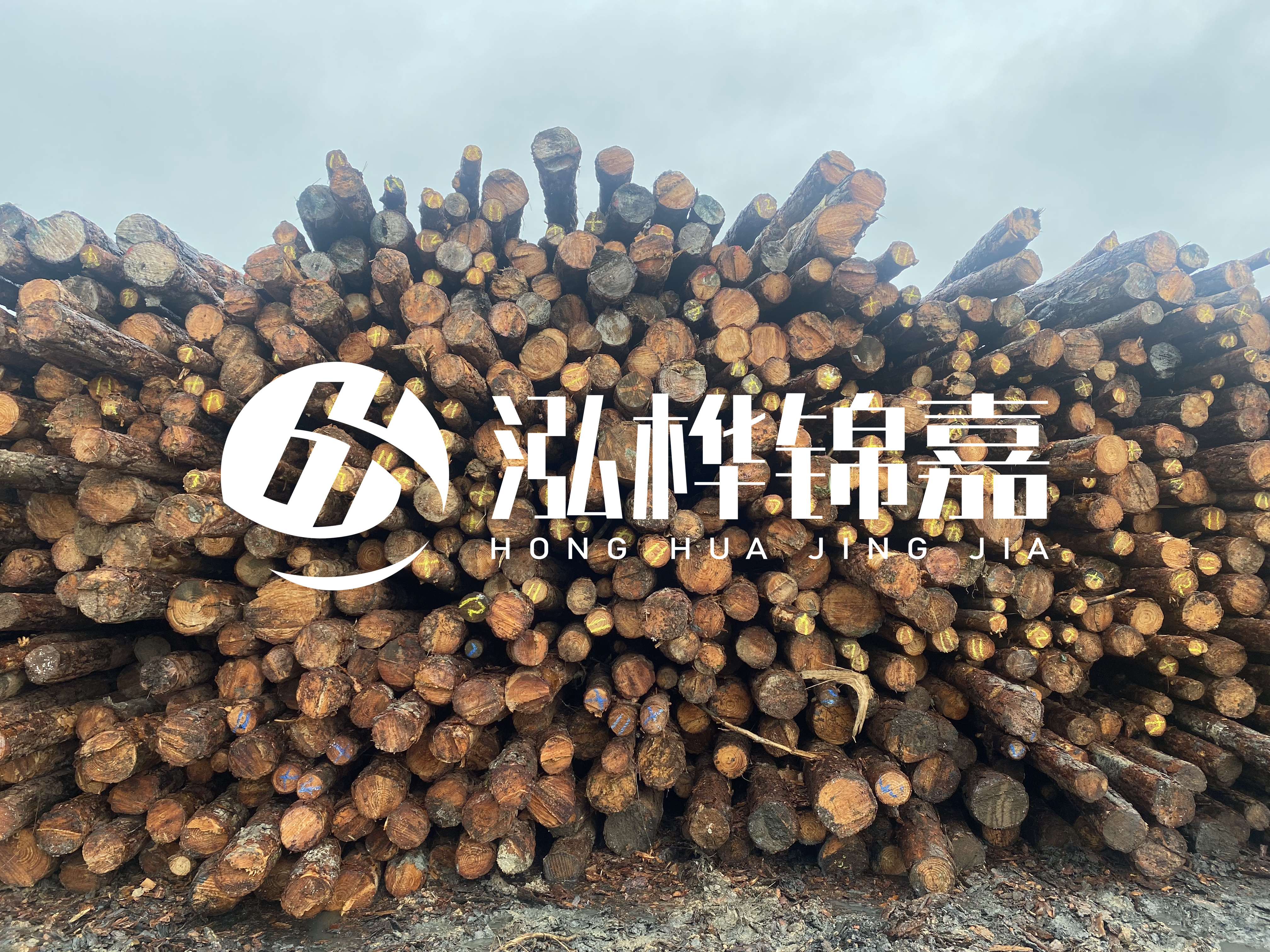 松木樁的直徑一般取多少？