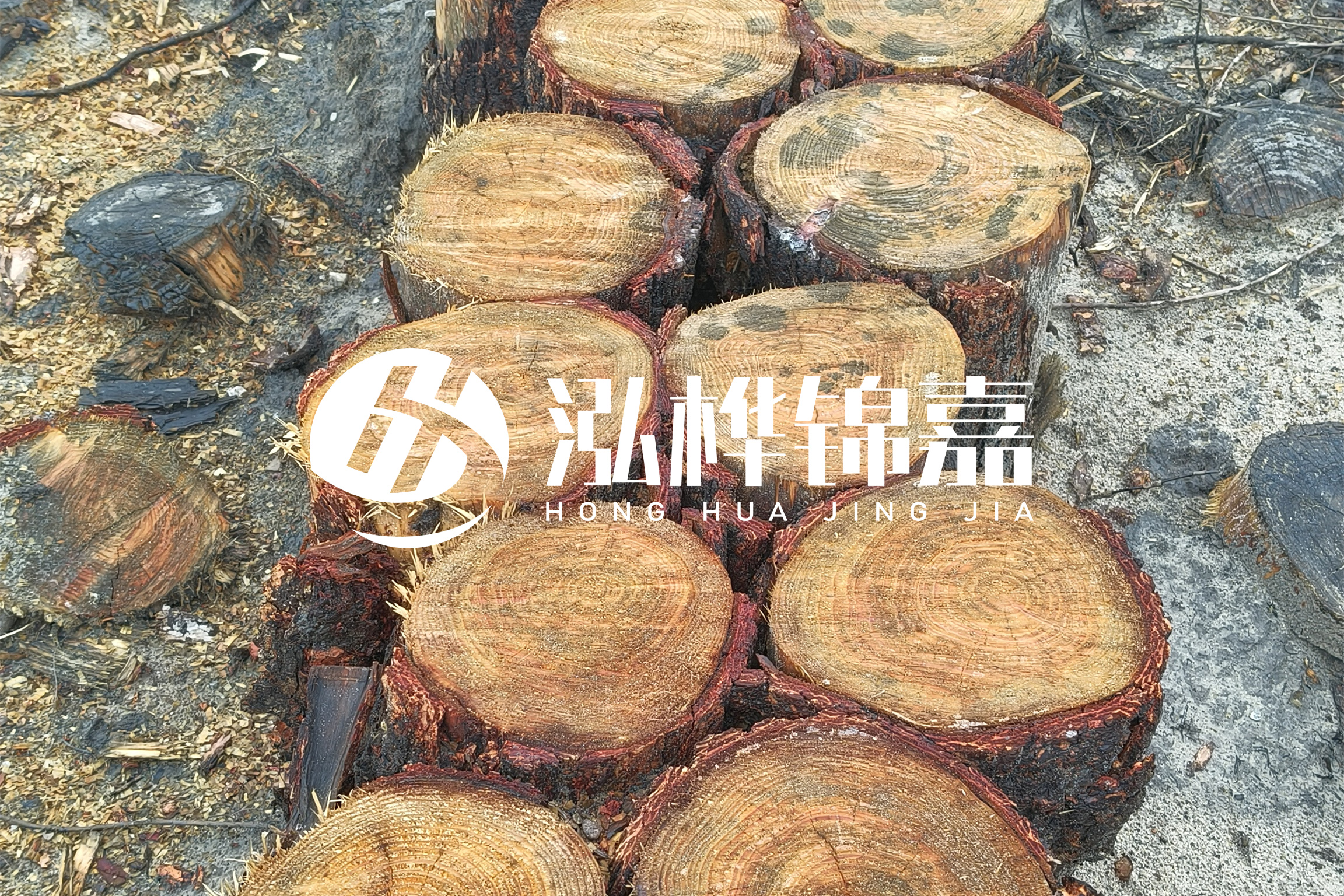 浙江臺州有清淤的公司嗎？浙江臺州有清淤施工隊嗎？