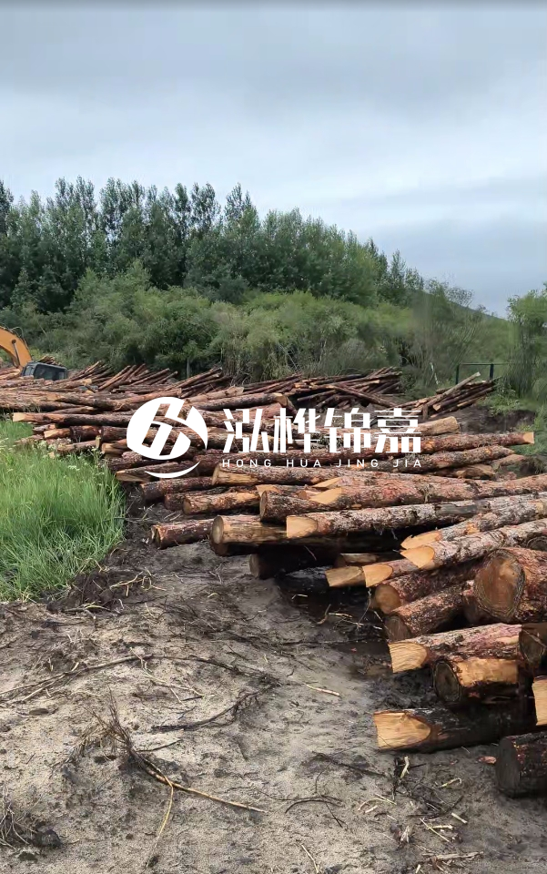 甘肅河道清淤工程公司-為什么要進行河道清淤？
