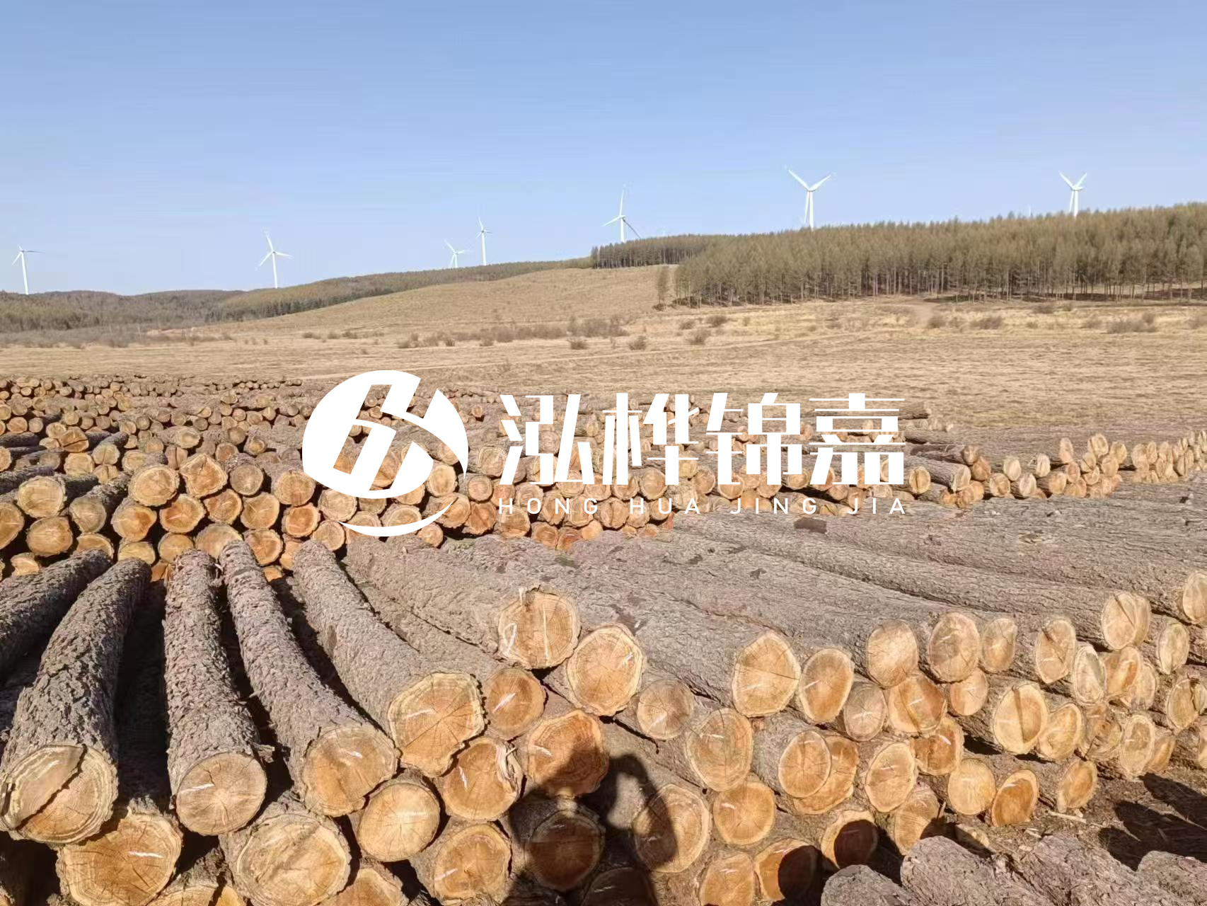 咸寧松木樁源頭廠家-哪里能買到質(zhì)量好的松木樁打樁木？