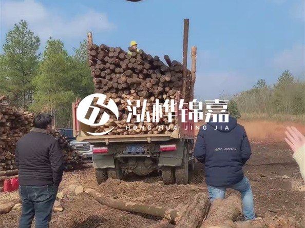 松木樁價格是按米算還是按根算？6米松木樁批發(fā)價每根多少錢？