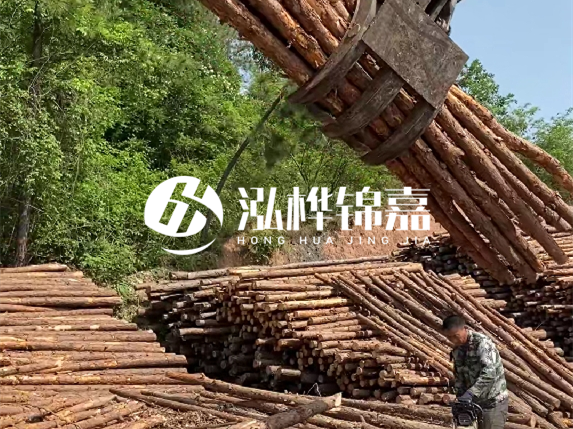 哪里能買到優(yōu)質(zhì) 3 米松木樁？長沙有松木樁批發(fā)工廠嗎？