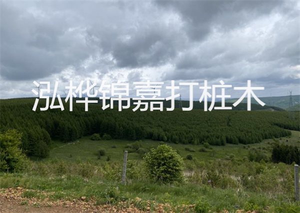 松木樁能重復(fù)施工么？