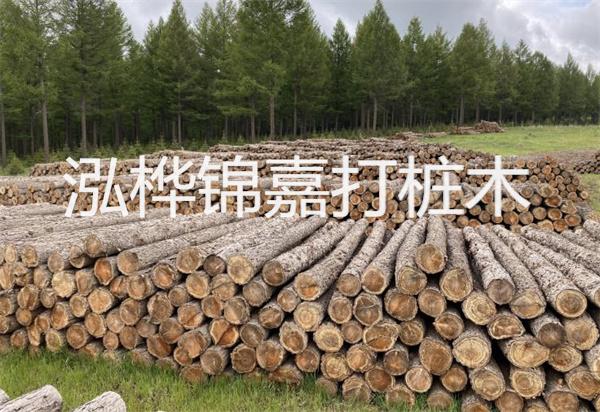 松木樁能施工嗎？探究視頻揭秘真相！