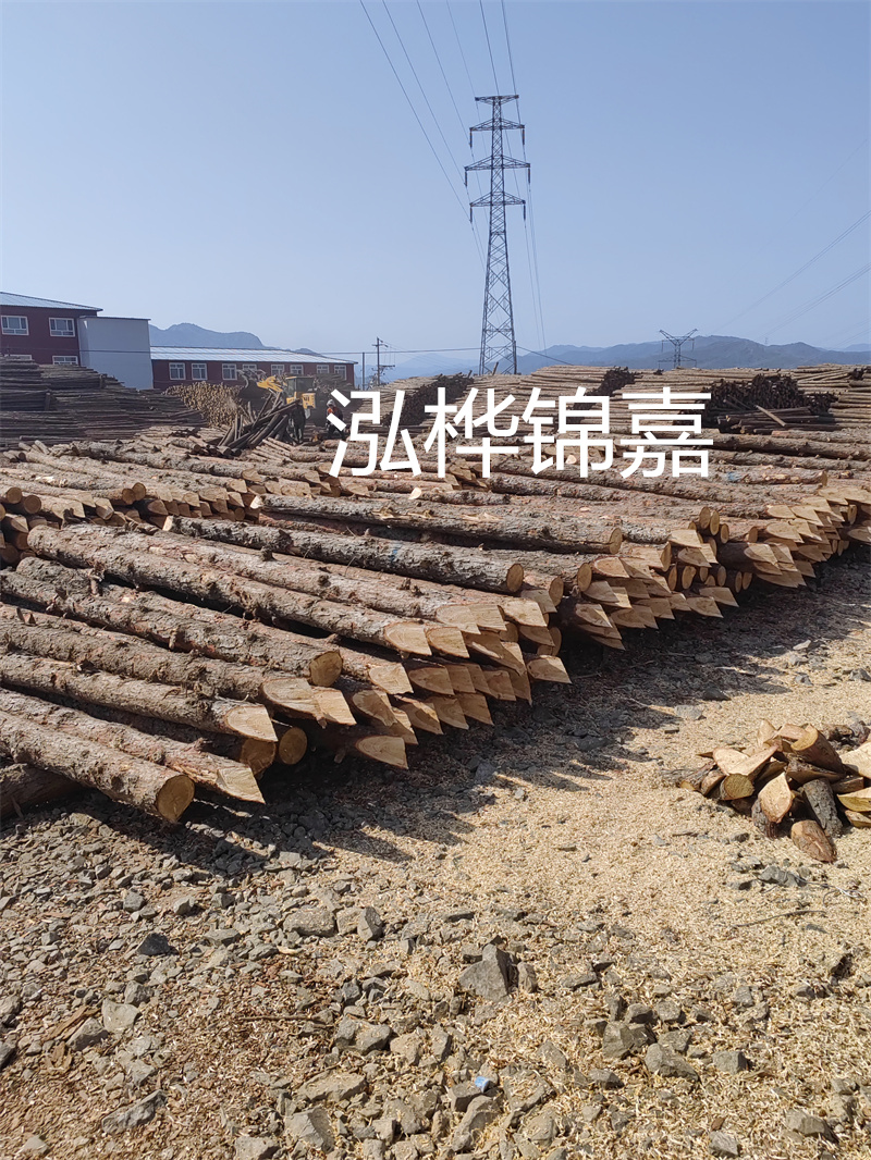 深入了解松木樁基礎(chǔ)施工單價，助力工程建設(shè)順利進(jìn)行！
