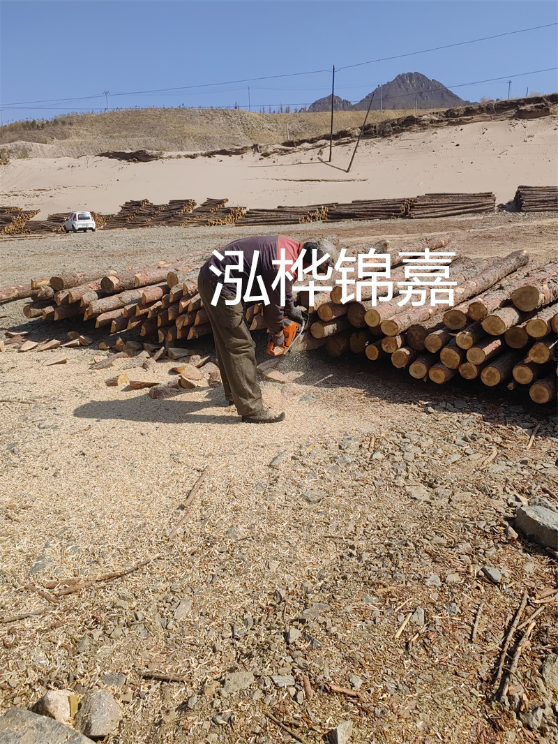 松木樁駁岸施工，打造水上風(fēng)景線